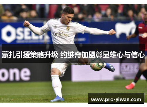 蒙扎引援策略升级 约维奇加盟彰显雄心与信心