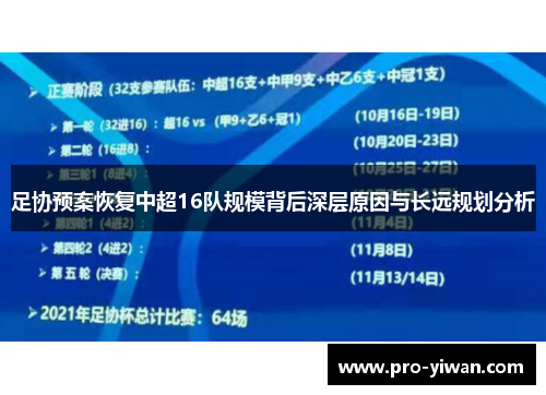 足协预案恢复中超16队规模背后深层原因与长远规划分析 足协预案恢复中超16队规模背后深层原因与长远规划分析