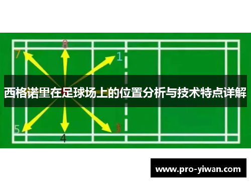 西格诺里在足球场上的位置分析与技术特点详解 西格诺里在足球场上的位置分析与技术特点详解