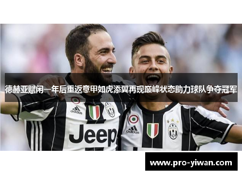 德赫亚赋闲一年后重返意甲如虎添翼再现巅峰状态助力球队争夺冠军