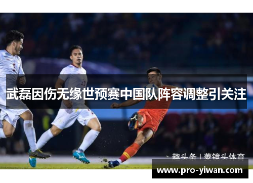 武磊因伤无缘世预赛中国队阵容调整引关注 武磊因伤无缘世预赛中国队阵容调整引关注